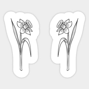 black daffodil rose flower Sticker